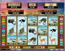 Rhino.webp