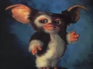 Gizmo_.webp Gizmo_.webp