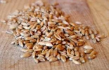 2008_04_25-Spelt2.webp