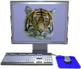 happytiger.gif happytiger.gif