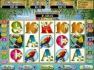 brids.webp