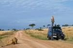 Looking-for-lions-634x422.webp