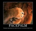 facepalm-lion.webp