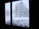 DSC01851.webp
