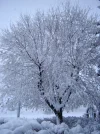 DSC01850.webp