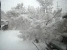 DSC01846.webp