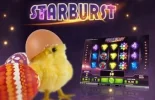 NordicStar2.webp