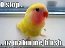 makingmeblush.webp
