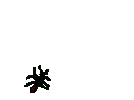 ant.gif