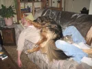 IMG_1261.webp IMG_1261.webp