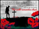 anzacs.webp
