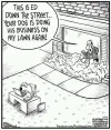 Dog.webp