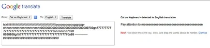 googletranslate.webp