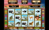 white rhino.webp