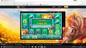 phoenix.webp