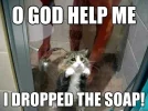 soap.webp