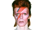 Bowie.webp Bowie.webp