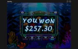 cash.webp