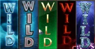 Multi Wilds.webp