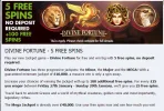 free spins divine.webp
