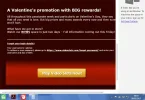 xv.webp