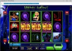 3 wilds on opening screen.webp