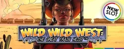 DES-104-[Wild-Wild-West]-artworks-Email-600x240-V1-EN.webp