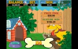 golden retreiver.webp