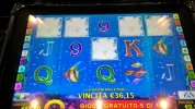 5scattersDPfreespins.webp