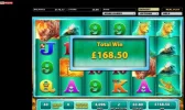 ragingrhinoskyvegasFSroundtotalwin210.625xbet.webp