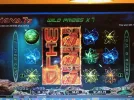 Jackpot capital hit.webp