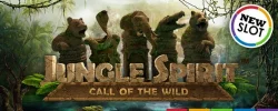 JUNGLESPIRIT.webp JUNGLESPIRIT.webp