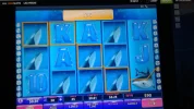 20160102_151618.webp 20160102_151618.webp