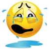 e4699dfa8349395748cd8e07ce23da6b.webp