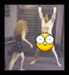 e.gif