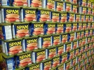trackback-spam.webp