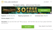 Bonus terms JS.webp