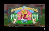 cats and dogs random1.webp