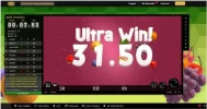 Connie Win.webp