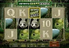 PandaX128_May17.webp PandaX128_May17.webp