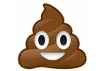 6431496-3x2-700x467.webp
