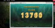 junglespiritroyalpandaelephantFSroundtotalwin344xbet.webp