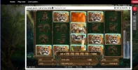 junglespiritroyalpanda24x5OAKoftiger180xbet.webp