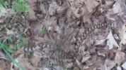 20170607_163012.webp