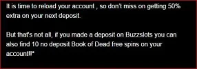 wtf buzzslots.webp