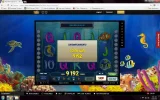 pearl lagoon 1.webp