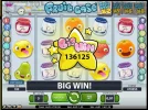 fruitcase.webp