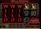 wilddesire!.webp