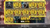 44.webp
