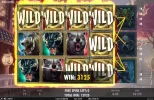WarlordsX172_Aug17.webp